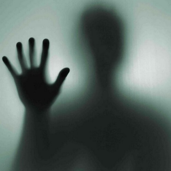 Meet your Posher, Mark - Picture 1 of 1